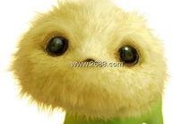 央视爆料七仔挑食视频,央视揭秘宠物饮食新现象