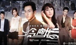 一念向北全集在线观看,情感纠葛，命运抉择，爱恨交织的感人故事